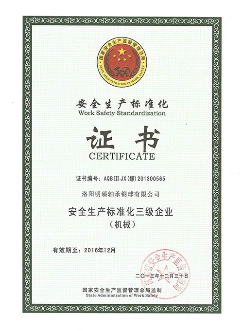 安全生产标准化证书 / Work Safety Standardization
