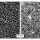 图5 高温轴承钢CSS-42L渗碳层的组织 Fig.5 Microstructures of high temperature bearing steel CSS-42L