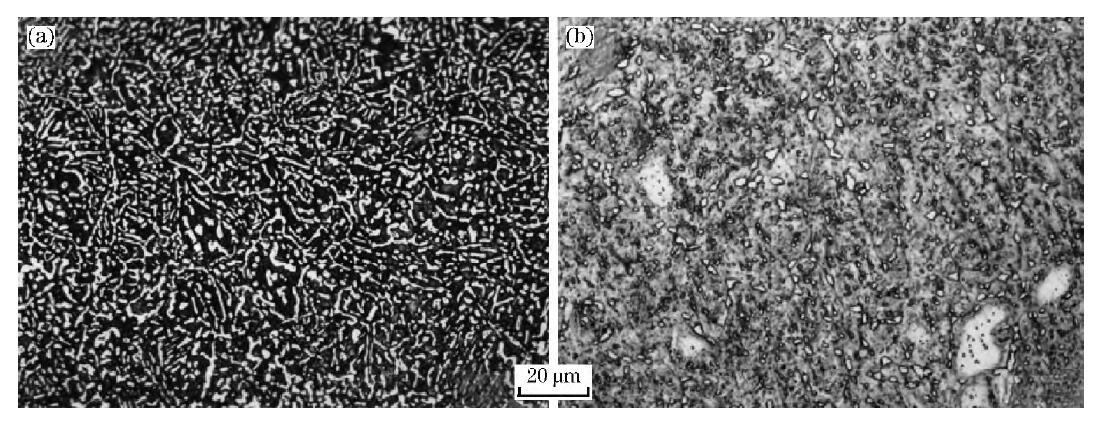 图5 高温轴承钢CSS-42L渗碳层的组织 Fig.5 Microstructures of high temperature bearing steel CSS-42L