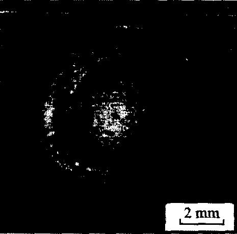 图7 典型的试样剥落形貌 Fig.7 Representative morphology of the sample flaking