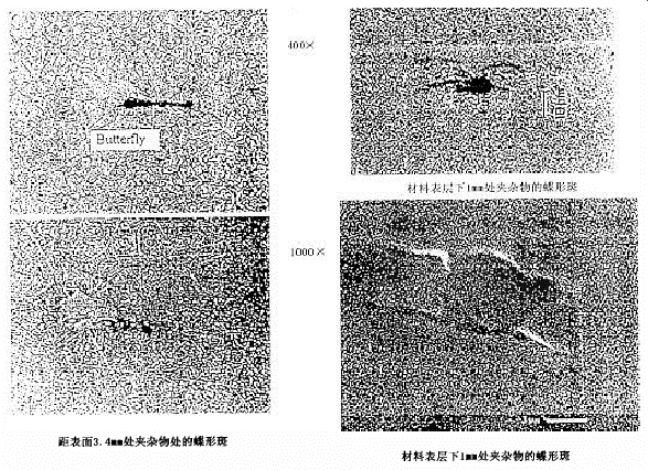 图1 表层材料下的“蝶形”